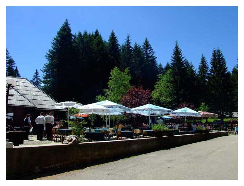 Mitrovac mountain Tara